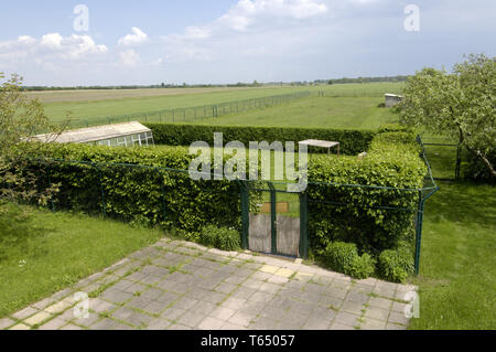 Giant bustard, Otis tarda, Brandenburg, east Germany Stock Photo