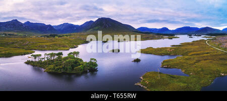 Aerial panorama of the Pine Trees Island in the Derryclare Lake Stock Photo