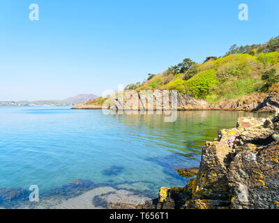 Multi coloured, lichen covered cliffs of slate line the shores of the River Dwyryd estuary. Stock Photo