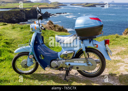 Honda little on sale cub 50cc