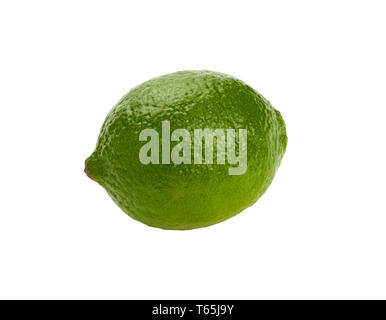 Close up one whole fresh green lime fruit isolated on white background, low angle side view Stock Photo