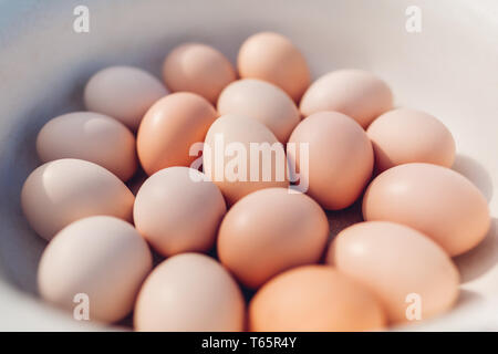 Fresh eggs collected in bowl. Organic product for healthy eating. Close up Stock Photo