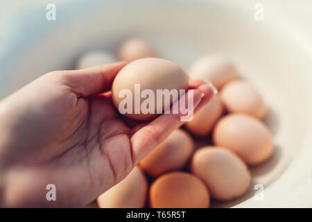 Farmer woman holding egg in hand by other eggs collected in bowl. Organic product for healthy eating Stock Photo