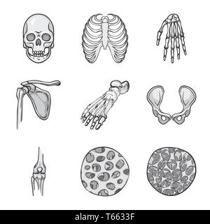 rib,wrist,foot,osteoporosis,cage,hand,ankle,cell,xray,calcium,healthy ...