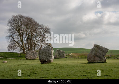 Details of stones and environs in the Prehistoric Avebury Stone Circle, Wiltshire, England, UK Stock Photo