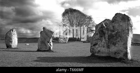 Details of stones and environs in the Prehistoric Avebury Stone Circle, Wiltshire, England, UK Stock Photo