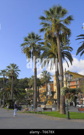 Italy, Italia, Liguria, Riviera di Levante, Portofino, boat harbour ...