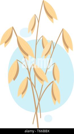 Oats, plant. Vector illustration on white background. Eps 10 Stock Vector