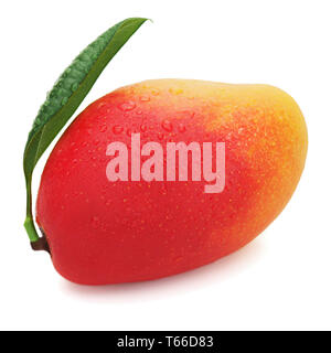 Fresh mango fruit with green leaves isolated on wh Stock Photo