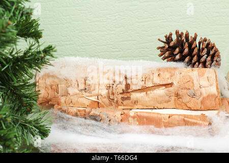 abstract composition from fir branches and birch l Stock Photo