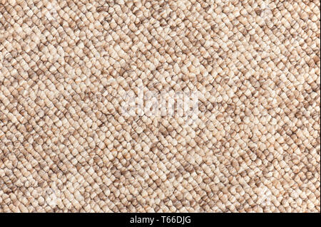 beige - brown carpet texture Stock Photo