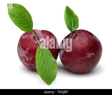 Red plums with leaves isolated on white background Stock Photo