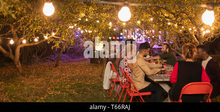 Friends enjoying dinner garden party under trees with fairy lights Stock Photo