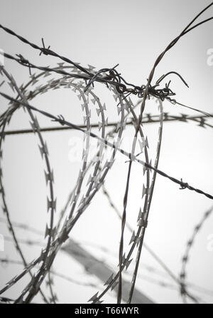 barb wire shoot against a gray sad sky Stock Photo