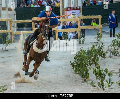 knight on horse during jousting. Sulmona, Abruzzo Stock Photo