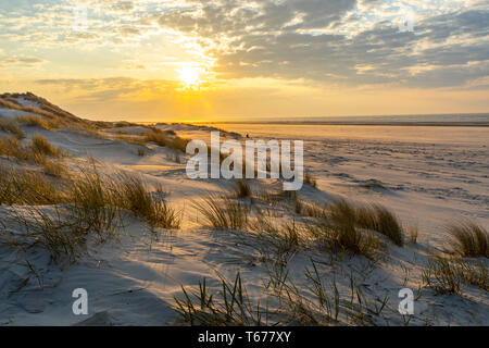 North Sea island Juist, East Frisia, Beach, Dunes landscape, sunset, Lower Saxony, Germany, Stock Photo