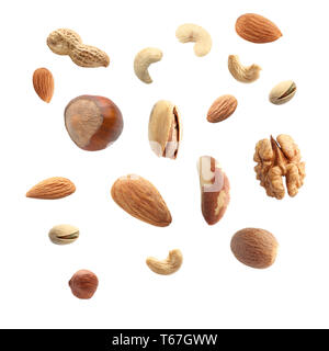 Falling nuts on white background Stock Photo