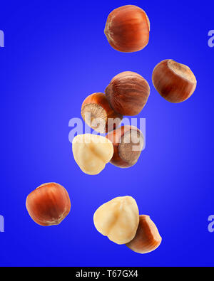 Falling hazelnuts on color background Stock Photo