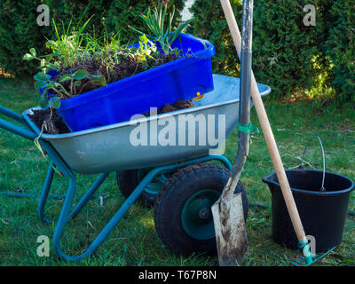 Metal garden cart filled with branches, wheelbarrow, shovel, Stock Photo