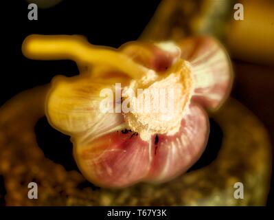 Garlic clove sitting in mortar with pestle food close up photograph Stock Photo