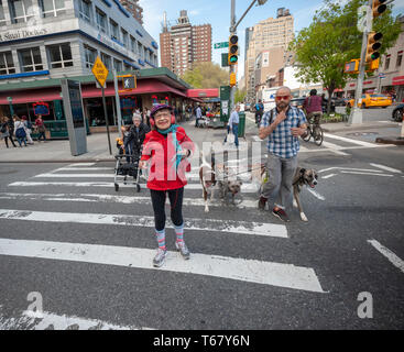 Elderly women with other pedestrians cross the dangerous West 23rd street and Eighth Avenue intersection in Chelsea in New York on Tuesday, April 23, 2019.  (Â© Richard B. Levine) Stock Photo