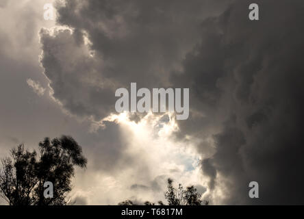 Multiple exposure of the sunbeams breaking through some dense clouds above eucalyptus trees. Captured at the Andean mountains of central Colombia. Stock Photo