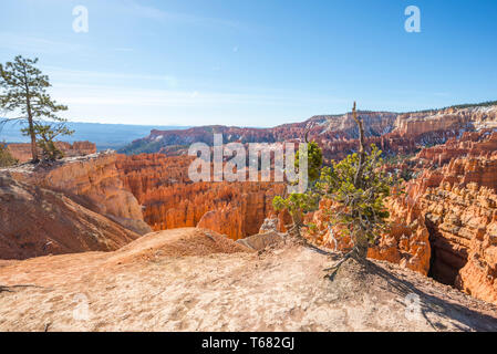 Rock formations at the Bryce Amphitheater viewed from Sunset Point. Bryce Canyon National Park, Utah, USA. Stock Photo