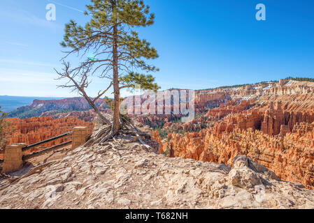 Rock formations at the Bryce Amphitheater viewed from Sunset Point. Bryce Canyon National Park, Utah, USA. Stock Photo