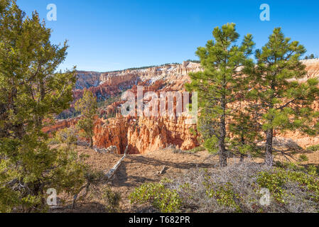 Rock formations at the Bryce Amphitheater viewed from Sunset Point. Bryce Canyon National Park, Utah, USA. Stock Photo