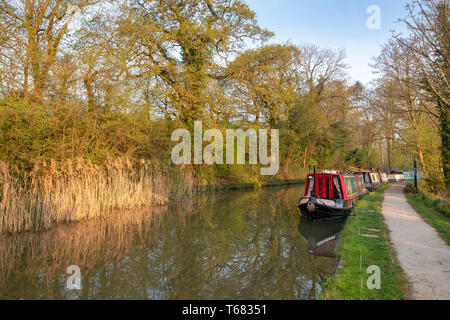 Canal boats on the oxford canal in the early morning spring sunlight. Shipton on cherwell, Oxfordshire, England Stock Photo