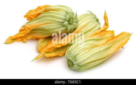 Squash Blossoms isolated on white background Stock Photo