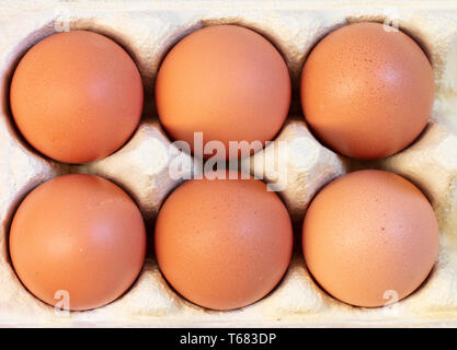eggs in box Stock Photo