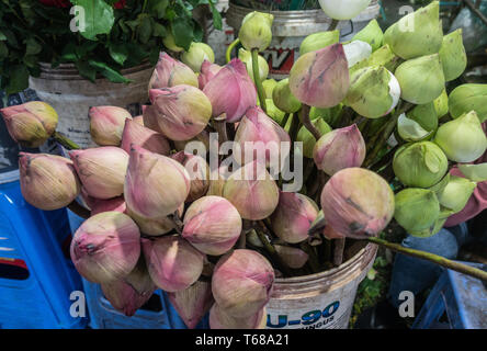 Sihanoukville, Cambodia - March 15, 2019: Phsar Leu Market. Closeup of Bucket holding green to pink lotus flowers still in their bulbs. Stock Photo