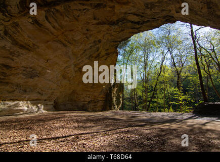 Council Overhang in Starved Rock State Park on a beautiful Spring morning. Stock Photo