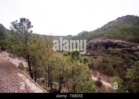 The Copper Canyon in Sierra Madre, Chihuahua State, Mexico, South America Stock Photo