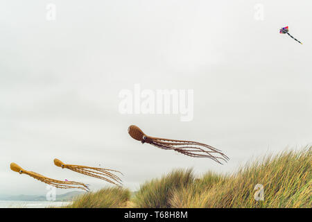 Flying Kites. Annual Morro Bay Kite Festival, California Stock Photo