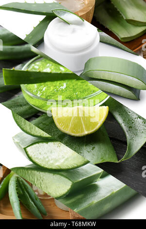 Collage of photos with Aloe Vera and cosmetic products Stock Photo