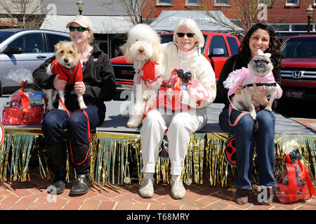 Main store street mutts