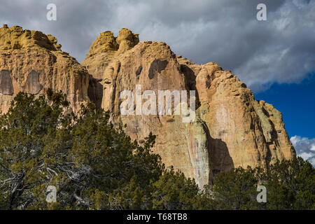 Inscription Rock towers over the pinyon-juniper forest of El Morro National Monument, New Mexico, USA Stock Photo