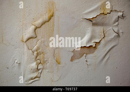 Close-up photography of the effects of humidity on a white wall. Captured at the Andean mountains of central Colombia. Stock Photo