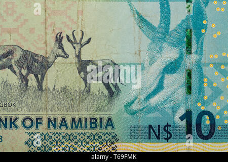 Detail of 10 Namibian dollars banknote Stock Photo