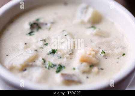 Bowl of New England clam chowder, Wellfleet MA, USA Stock Photo