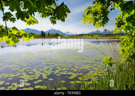 wide panorama landscapes in Bavaria with lake and mountains Stock Photo