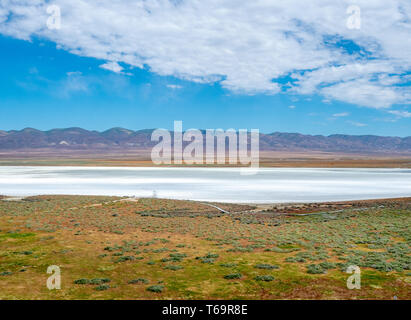 Panorama of Soda Lake and Road at Carizzo Plain National Monument on sunny spring day, Kern County, California, Central Valley mn Stock Photo