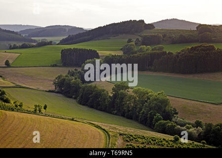 aerial view of hilly field and forest landscape near Menkhausen, North Rhine-Westphalia, Germany Stock Photo