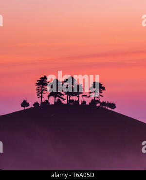 Colmers Hill, Bridport, Dorset, UK. 30th April 2019. UK Weather: Glorious sunrise at Colmers Hill, Dorset. The trees on the iconic local landmark are silhouetted against glorious sunrise colours on a misty morning. Credit: Celia McMahon/Alamy Live News. Stock Photo