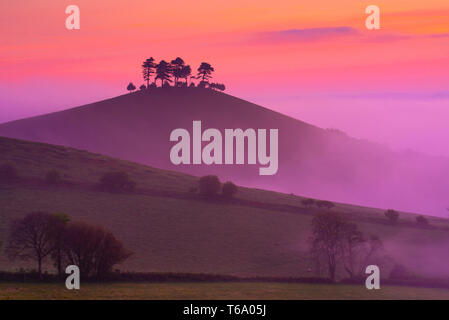 Colmers Hill, Bridport, Dorset, UK. 30th April 2019. UK Weather: Glorious vibrant sunrise at Colmers Hill, Dorset. The trees on the iconic local landmark are silhouetted against glorious sunrise colours on a misty morning. Credit: Celia McMahon/Alamy Live News. Stock Photo