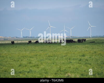 Elmley, Kent, UK. 30th Apr, 2019. UK Weather: a sunny and warm afternoon in Elmley, Kent. Credit: James Bell/Alamy Live News Stock Photo