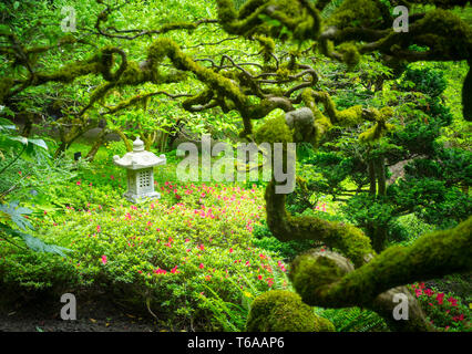 Moss covered branches, Japanese maples, and a Japanese stone lantern adorn the Japanese Garden at Butchart Gardens in summer.  Brentwood Bay, Canada. Stock Photo