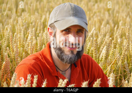 bearded man sitting in a wheat field on sunny day Stock Photo